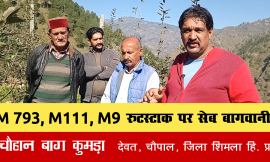 M9, M793 रुटस्टाक पर  बगीचा , पुराने बगीचे के साथ | Clonal Rootstock M9, M793,  block | Pomy Chauhan