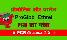 Plant growth regulator ( PGR )